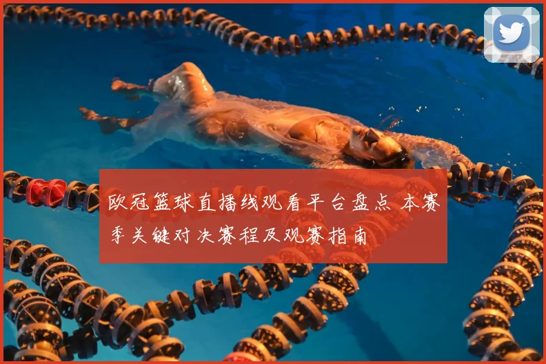 欧冠篮球直播线观看平台盘点 本赛季关键对决赛程及观赛指南