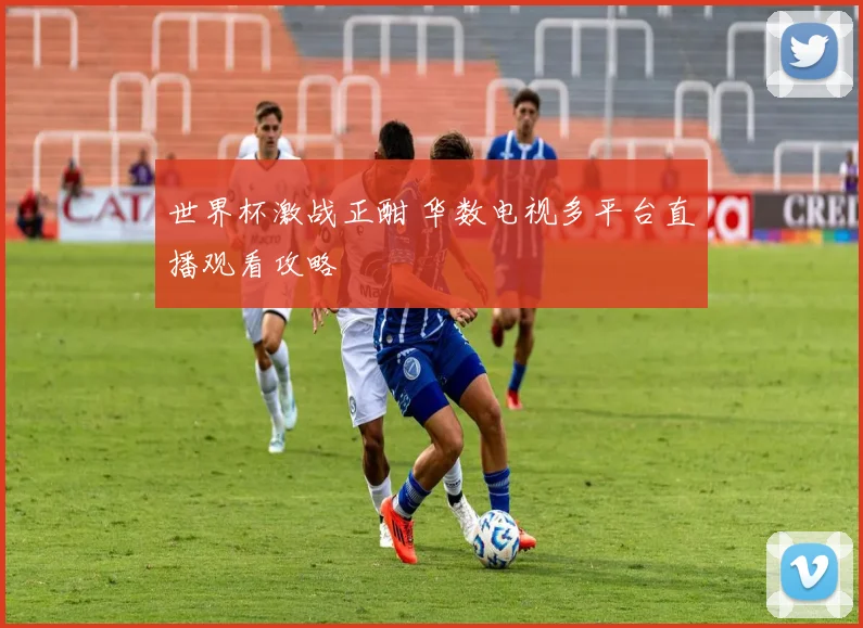 世界杯激战正酣 华数电视多平台直播观看攻略