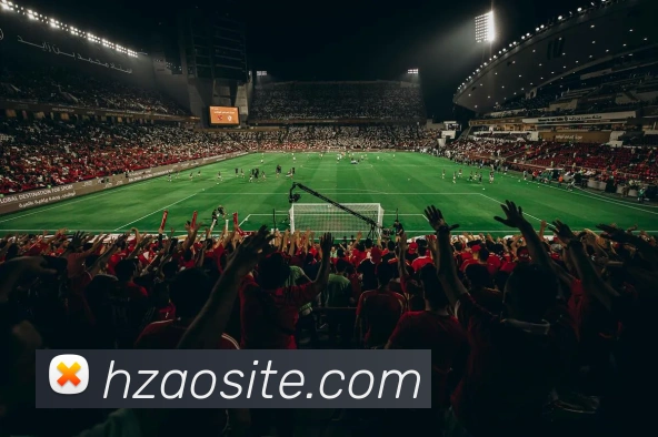 米兰体育app与米兰直播app对比服务体系